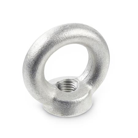 Otto Ganter Stainless Steel Lifting Eye Nut, DIN 582